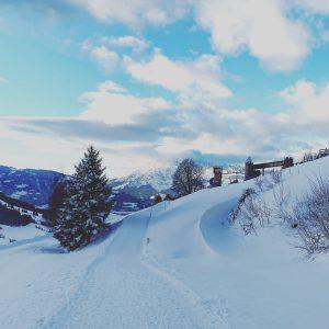 Winterwandern in Maria Alm